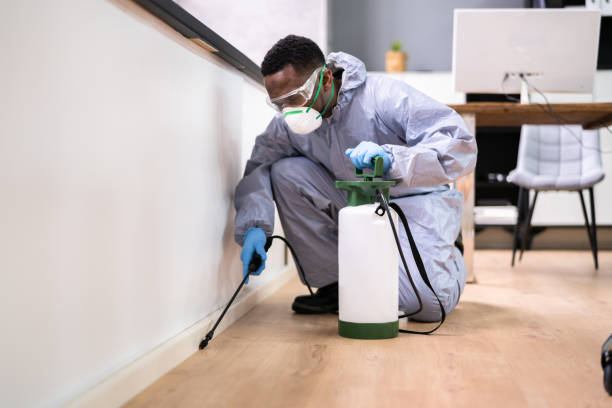 Best Pest Prevention Services  in South Lebanon, OH